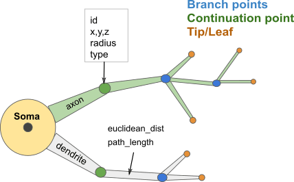 Node and edge attributes