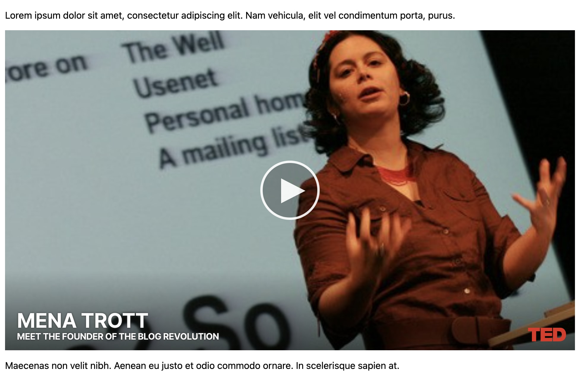 Screenshot of Mena Trott's 2006 TED talk about the blogosphere