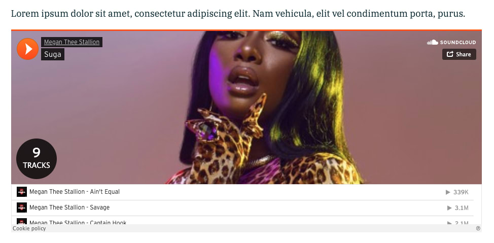 Screnshot of Megan Thee Stallion album “Suga” on SoundCloud