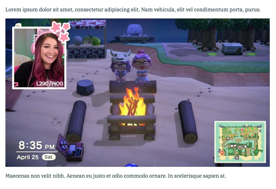 Twitch streamer Vixella playing Animal Crossing