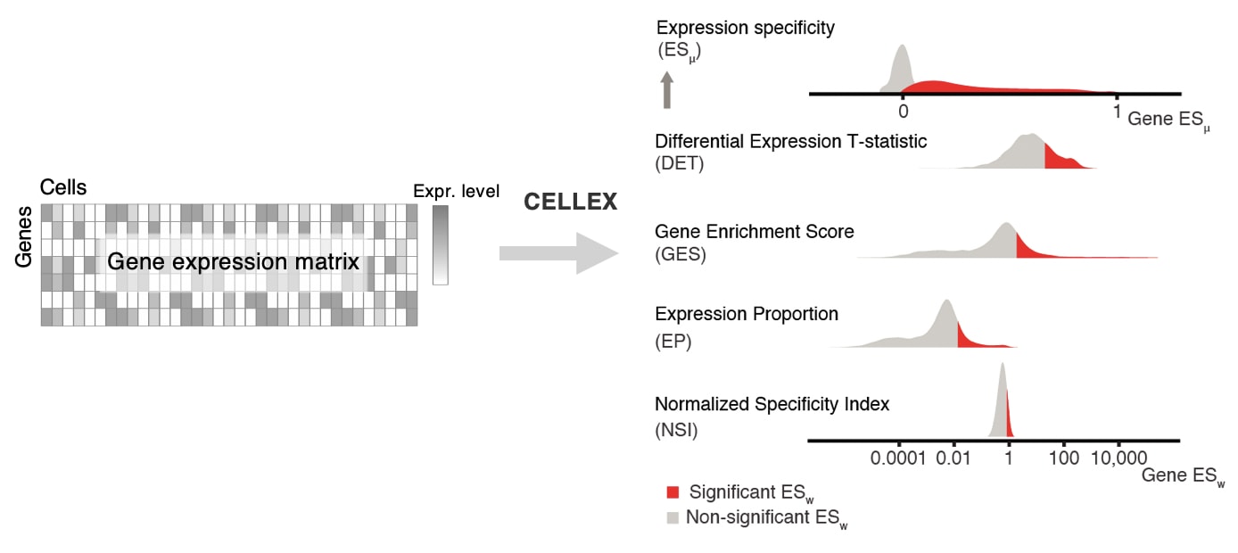 CELLEX_overview