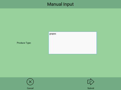 Manual Entry Screen