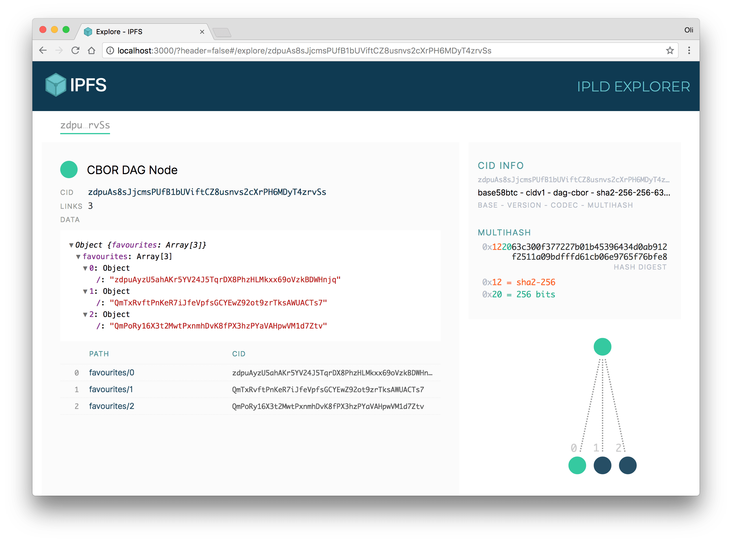 Screenshot of the IPLD explorer