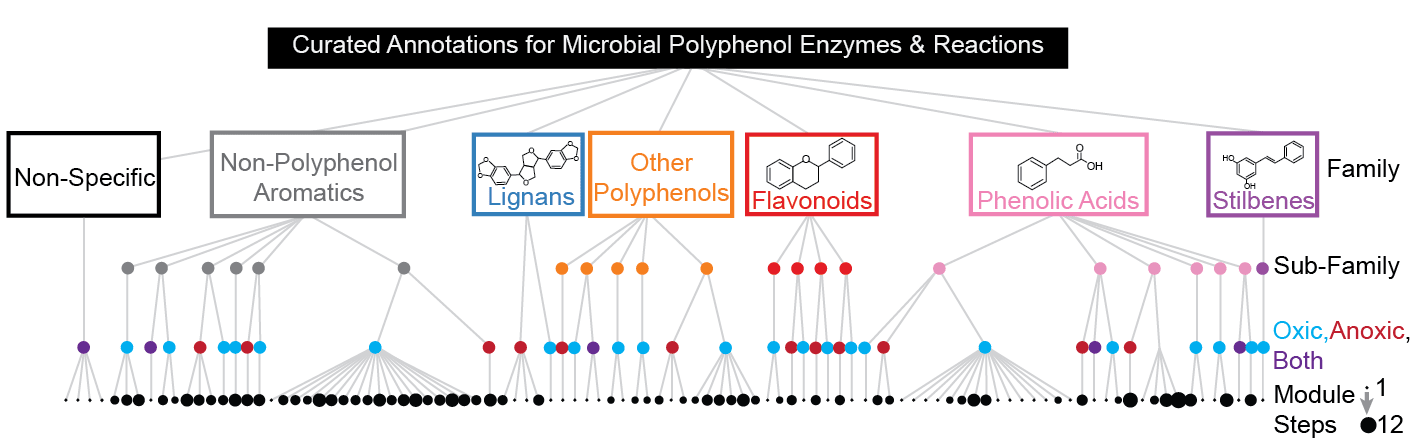 camper_pathways_tree_for_github-01