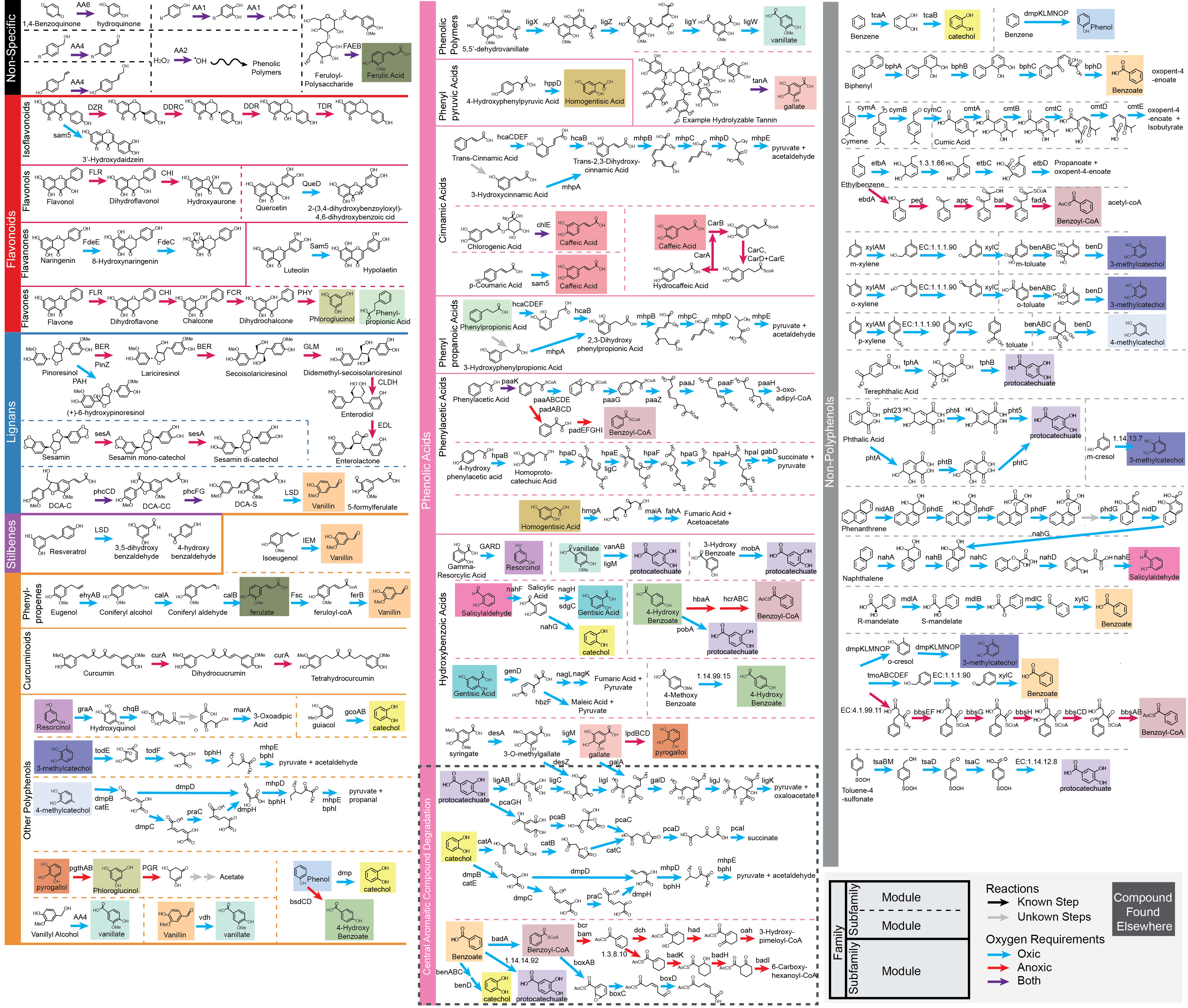 CAMPER_RoadMap_v1-01