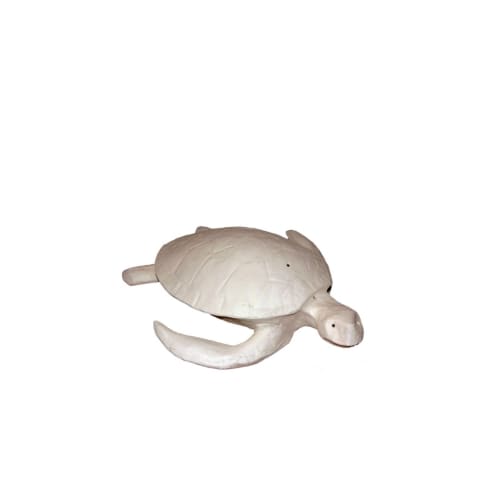 Sea Turtle Surf White Mini