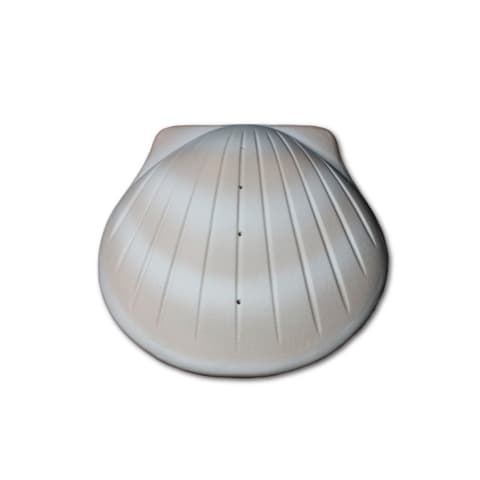 Sea Shell Large Sand