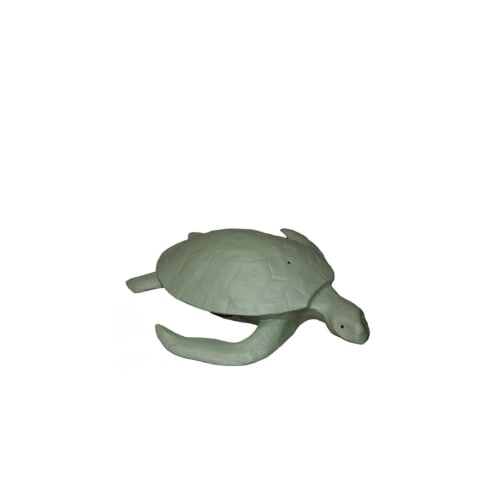 Sea Turtle Moss Mini