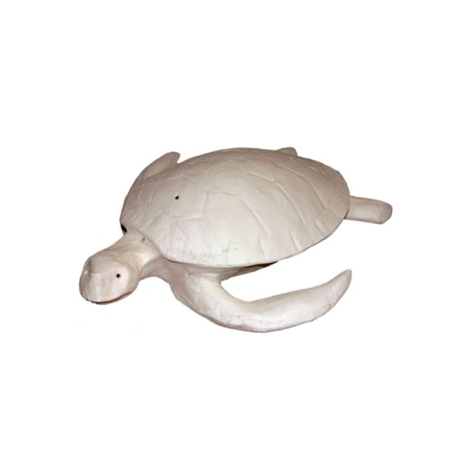 Sea Turtle Surf White Large