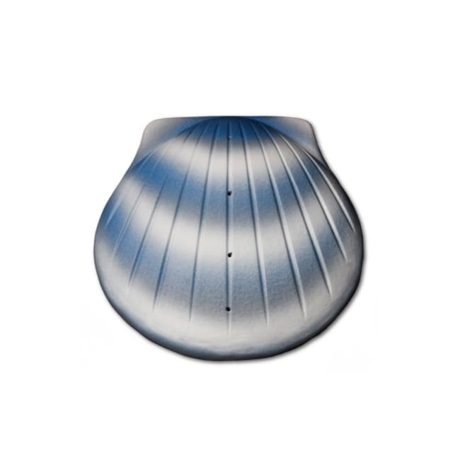 Sea Shell Aqua