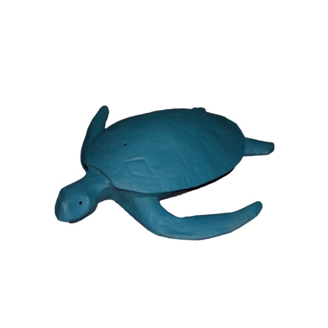 Sea Turtle Teal Large