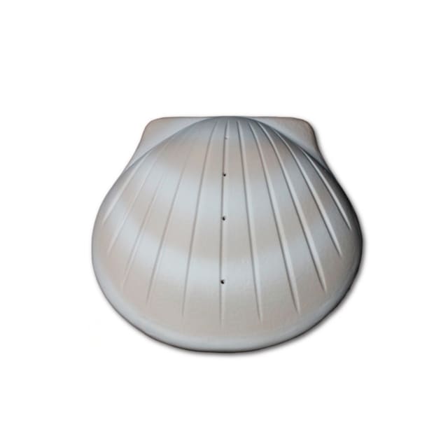 Sea Shell Large Sand