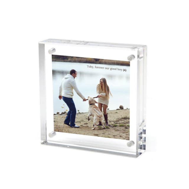 PET MEMORY FRAME