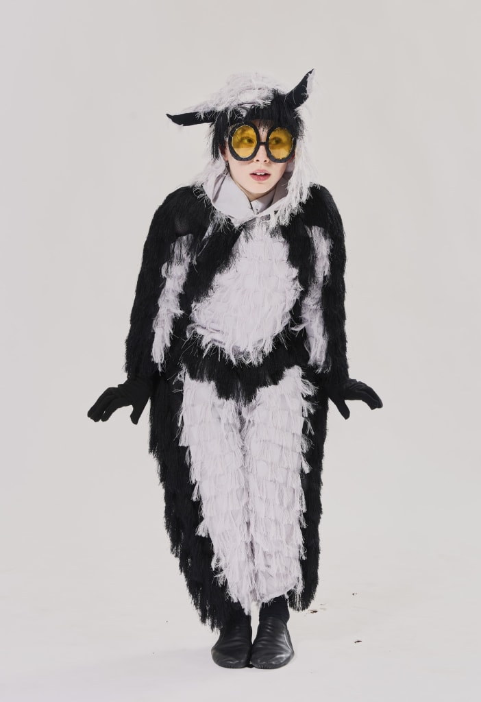 The Lemurs