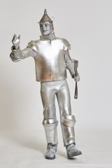 Tin Man