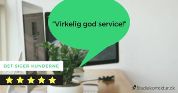 Korrektur på en SRP-opgave