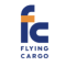 Flying cargo story