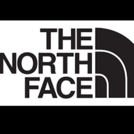 The North Face  logo