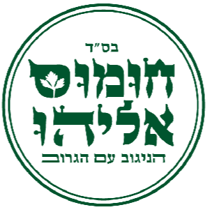 חומוס אליהו רחובות logo