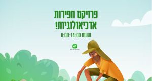 עבודה בחפירות ארכיאולוגיות!  כולל הסעות!!