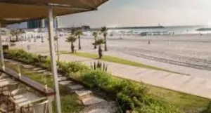 ממוצע 90+ ש"ח! מלצרים למסעדה על הים בהרצליה