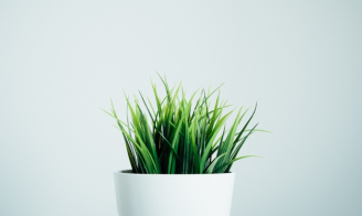 Job image for דרושים עוזרי נהג