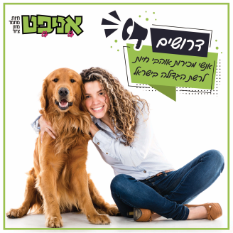 Job image for דרושים אנשי מכירות לחנויות רשת "אניפט"!