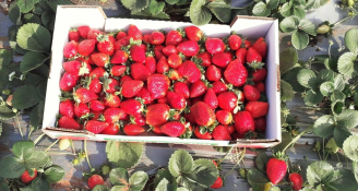 Job image for משרה באוויר הפתוח ובאווירה של מושב!