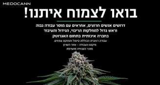 Job image for תפקידי גידול ועיבוד בחוות קנאביס מובילה!