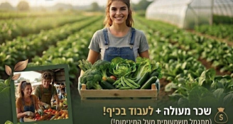 Job image for דרושים/ות מלקטים/ות ל"מהחקלאי לצרכן" 