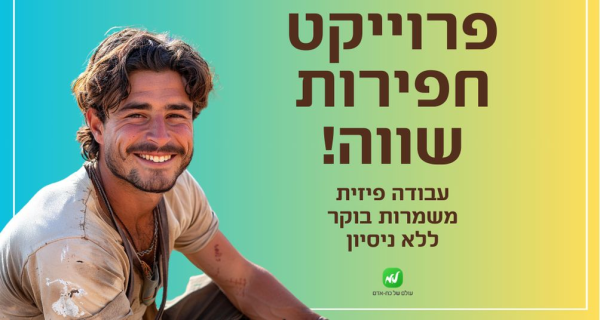 חפירות ארכאולוגיות- התחלה מיידית!