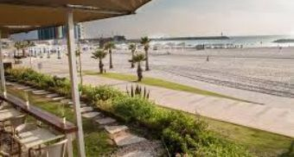 ממוצע 90+ ש"ח! מלצרים למסעדה על הים בהרצליה