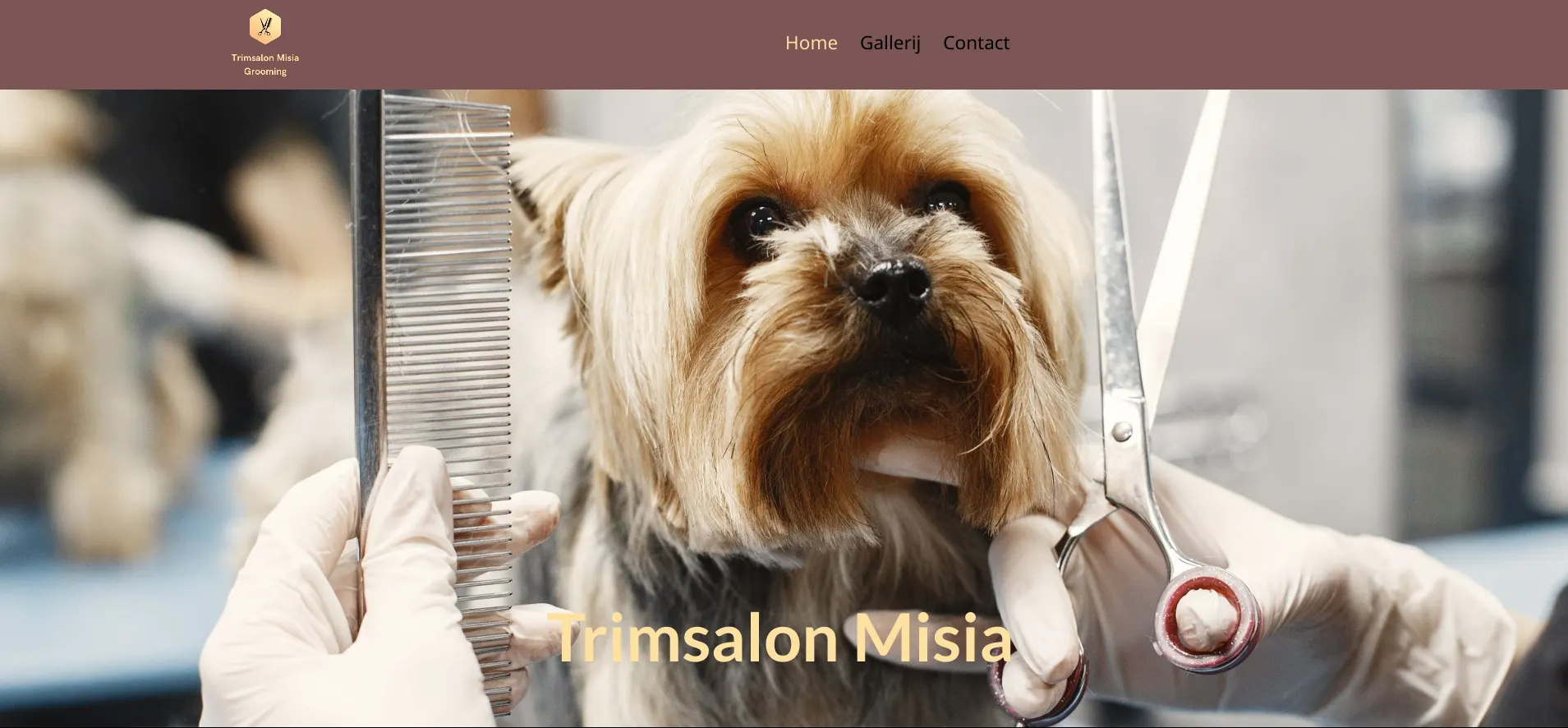 Trimsalon Misia banner