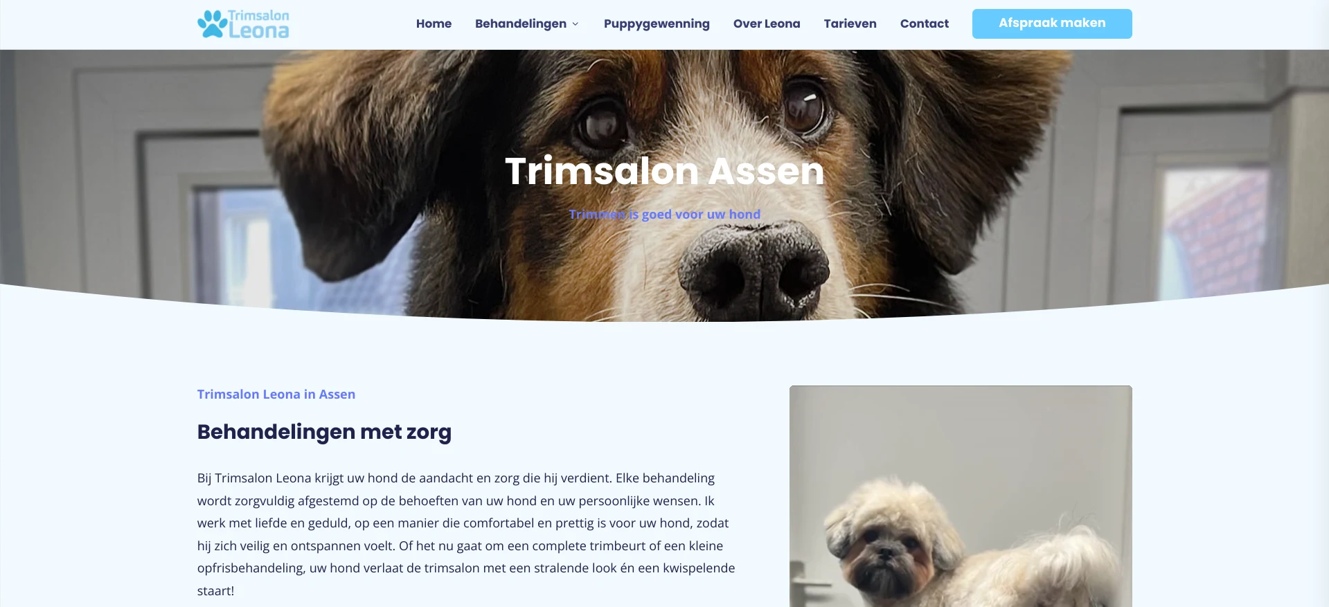 Trimsalon leona banner