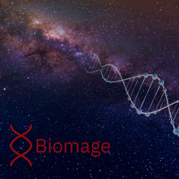 Biomage