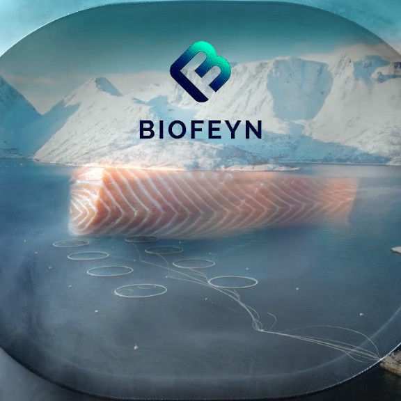 BioFeyn