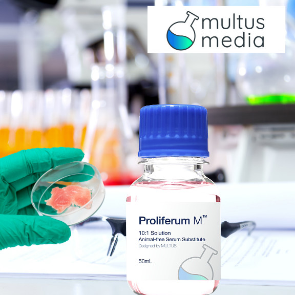 multus media