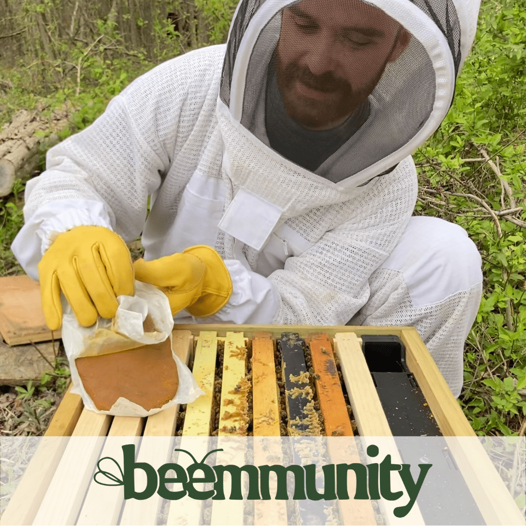 Beemmunity