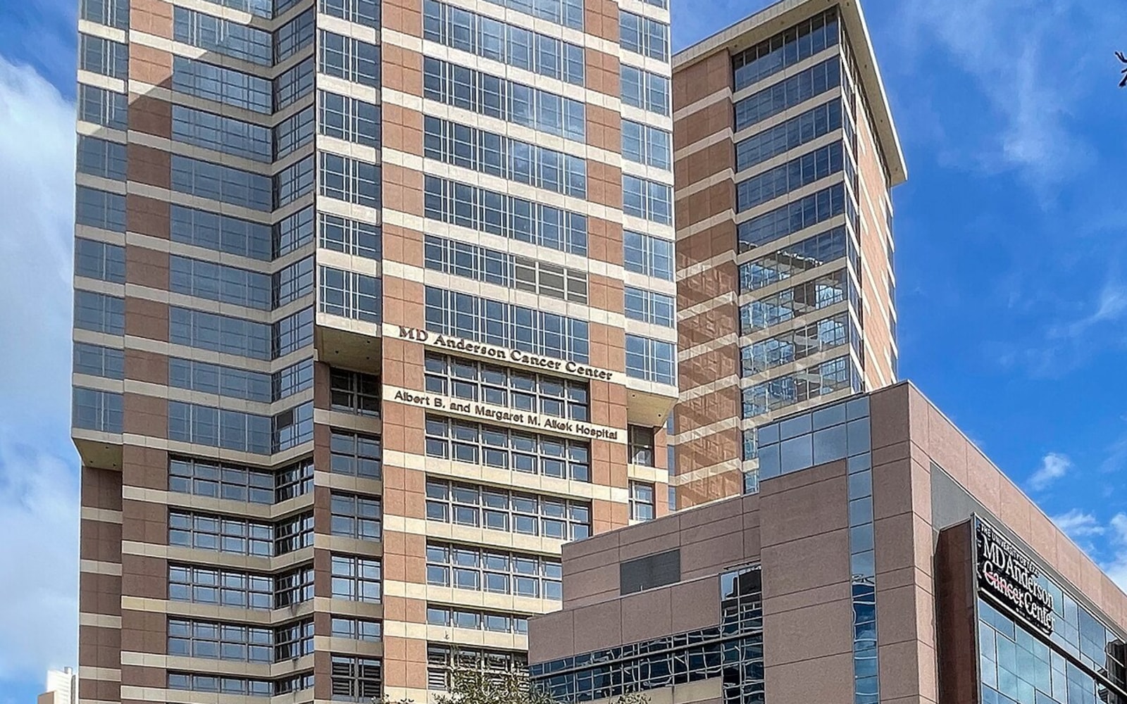 MD Anderson workplace