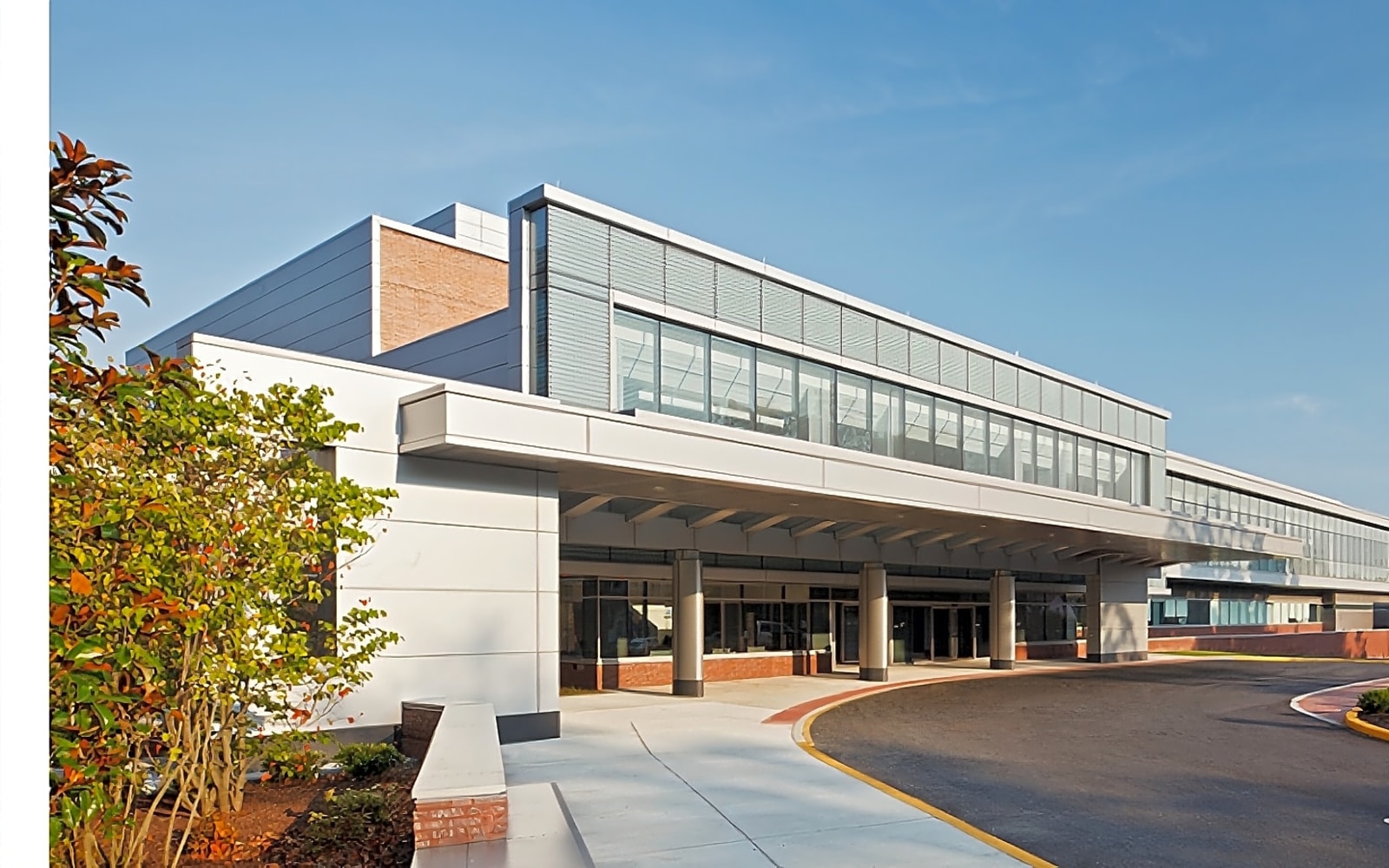Bayhealth workplace