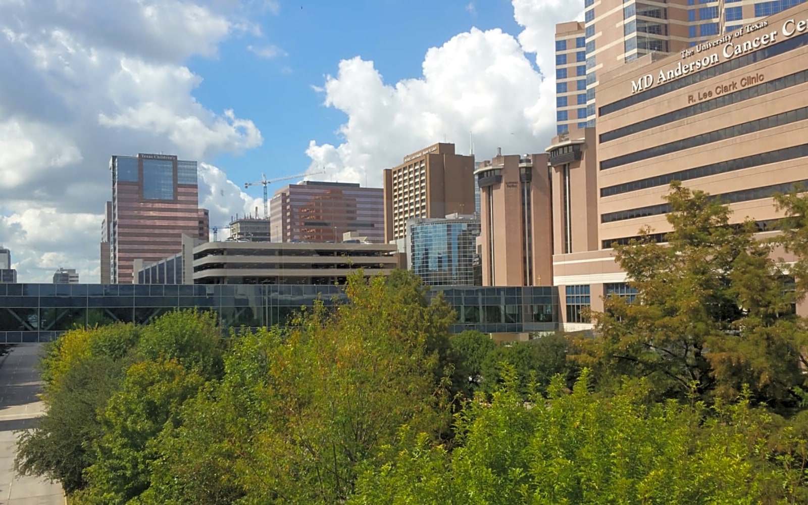 UT MD Anderson workplace