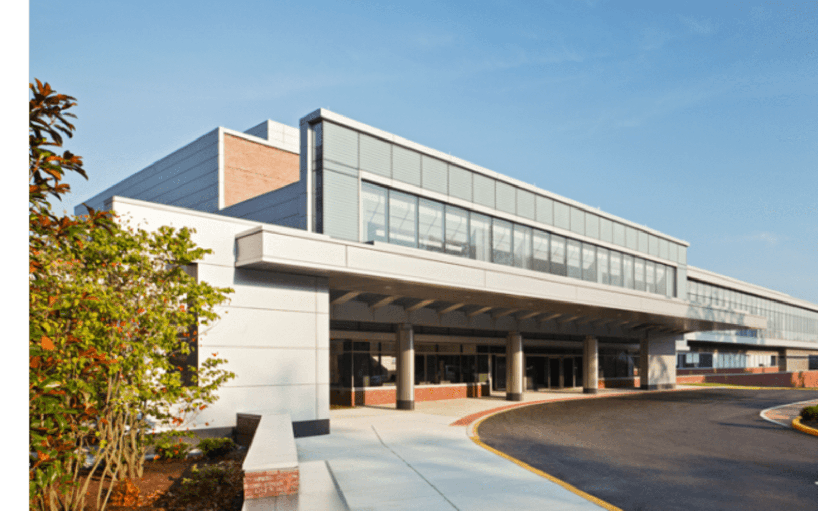 Bayhealth workplace