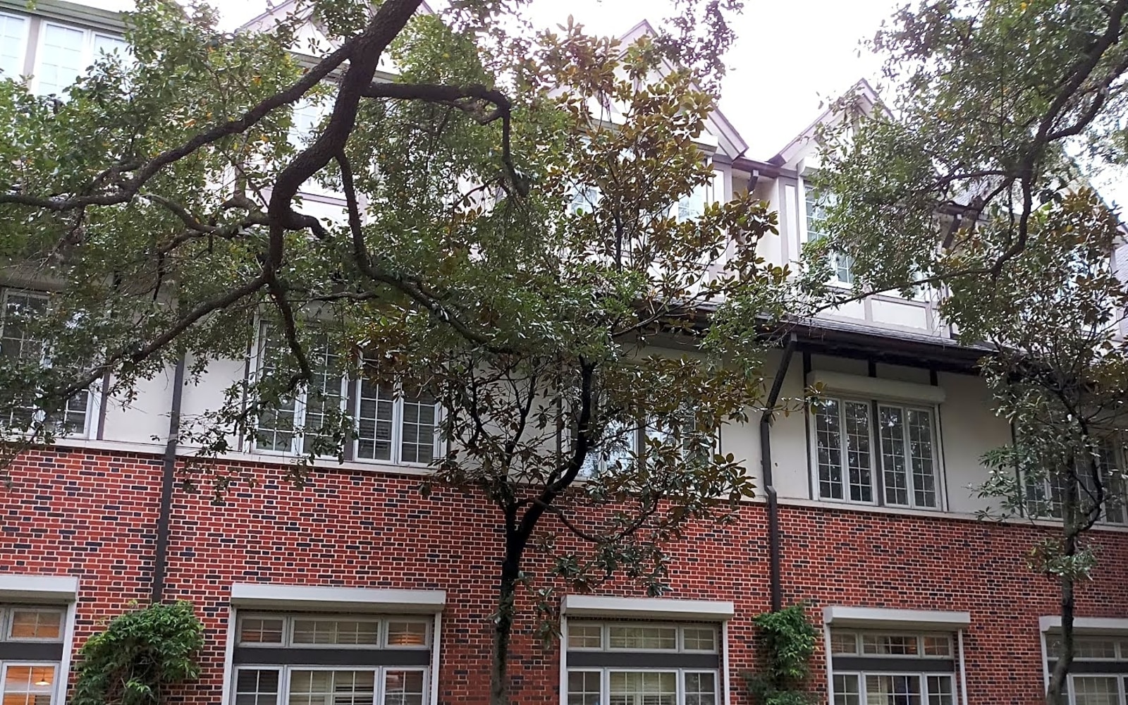 Houston Hospice workplace