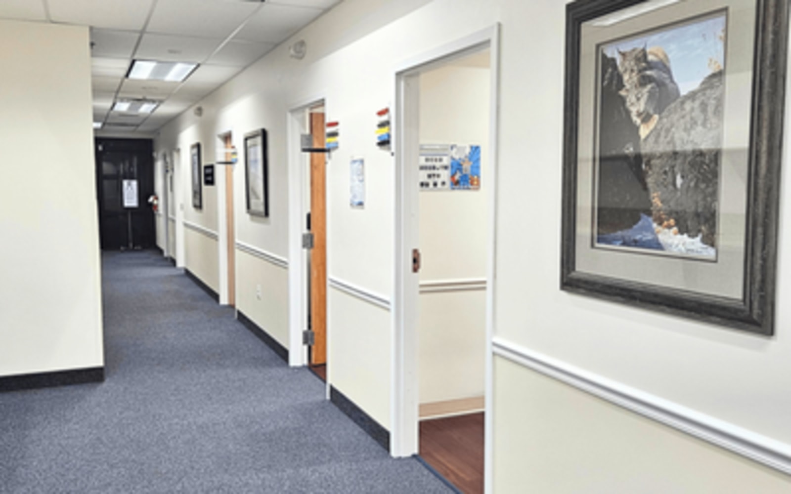 Palms Medical Group workplace