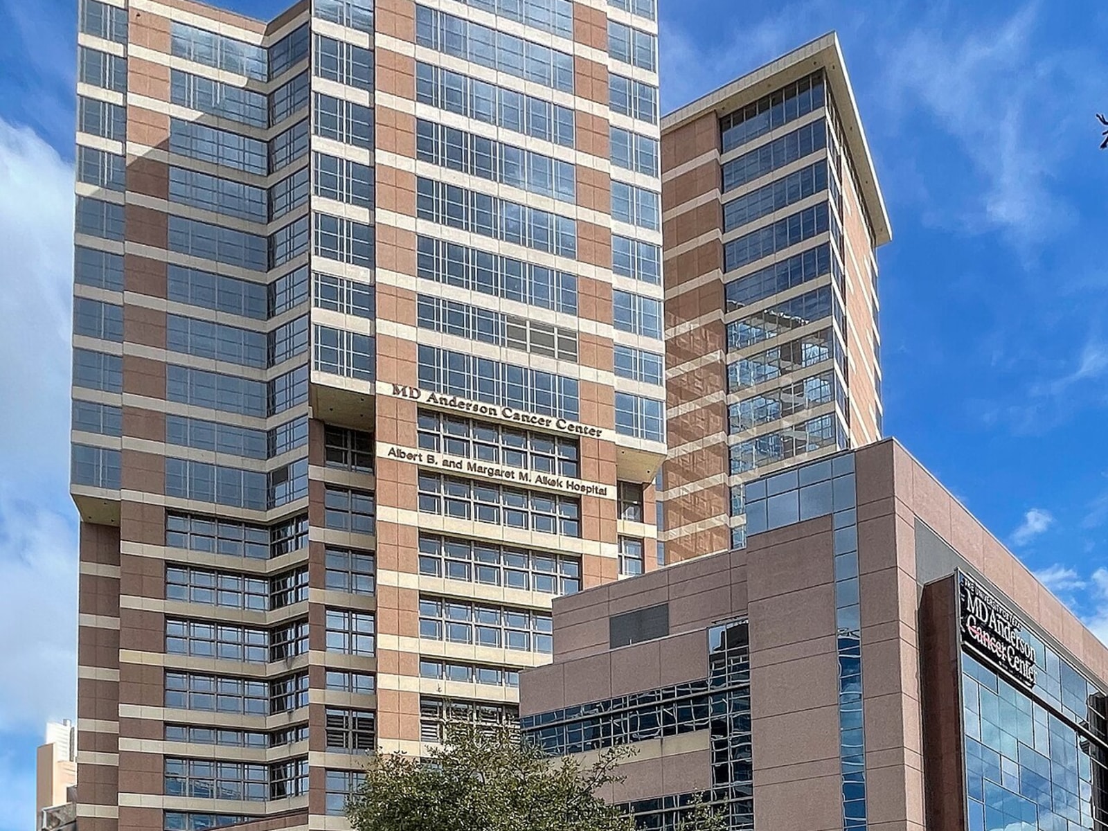 MD Anderson workplace