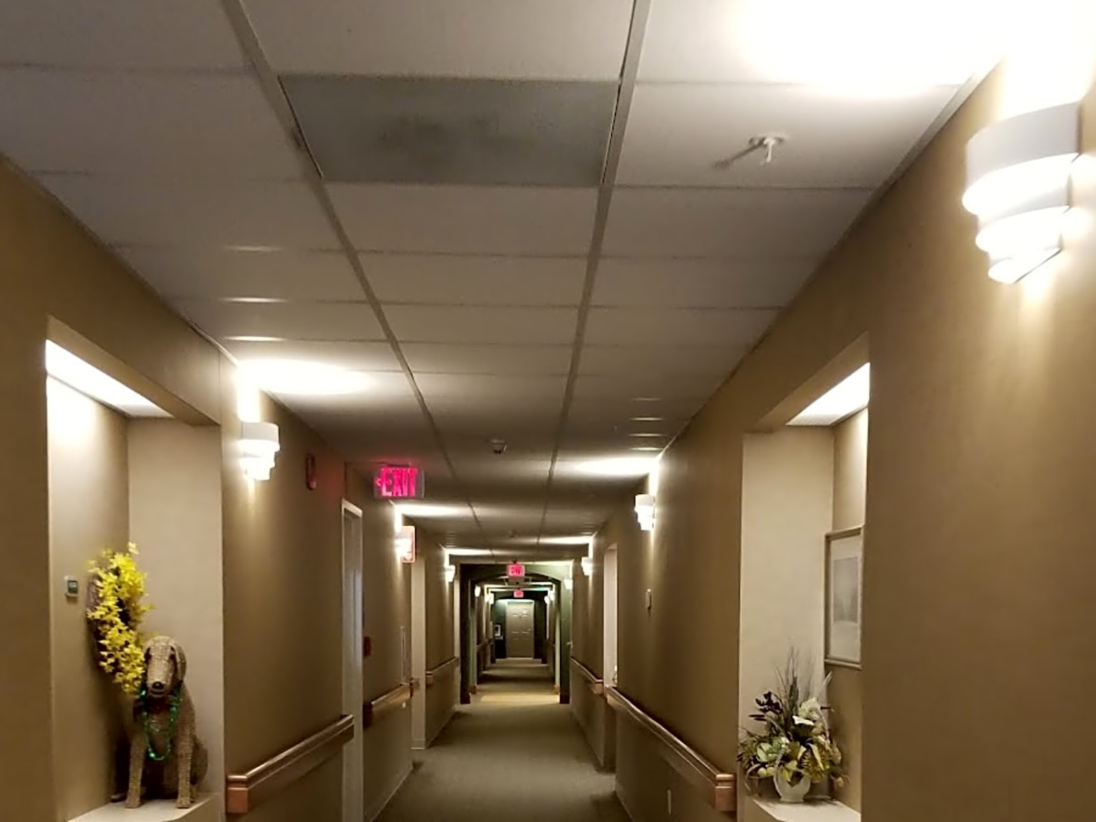 Linden Ponds by Erickson Senior Living photo