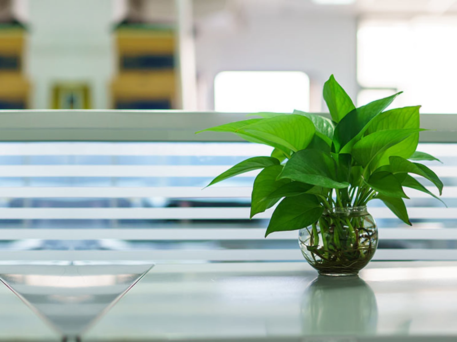 Overlake Arthritis & Osteoporosis Center workplace