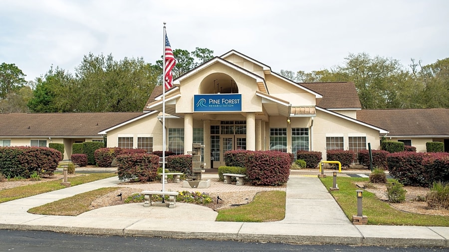 Pine Forest Rehabilitation workplace