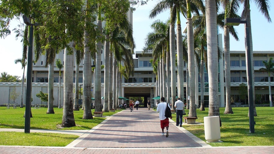 University of Miami workplace