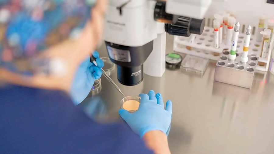 Ivy Fertility-Dallas IVF workplace